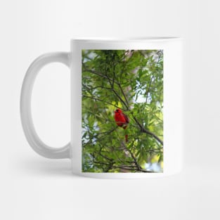 Perched Cardinal Mug
